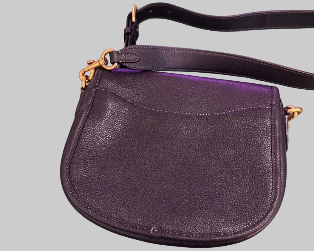 COACH WILLOW SADDLE BAG